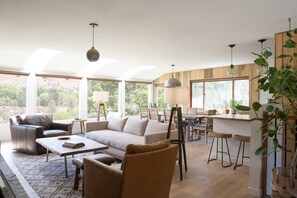 Smart TV, fireplace, books, music library