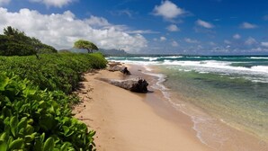 Une plage aux eaux cristallines, bordée d’un rivage sablonneux et d’une végétation luxuriante.