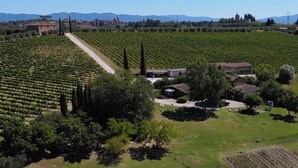 An aerial view of a vineyard with rows of grapevines, a swimming pool, and a small building with a red roof. - Fattoria Santa Vittoria Apartment "lepre" (Foiano della Chiana)