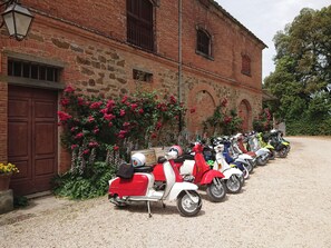 Property grounds - Fattoria Santa Vittoria Apartment "lepre" (Foiano della Chiana)