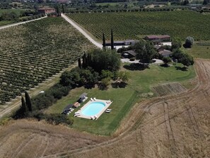 An aerial view of a vineyard with rows of grapevines, a swimming pool, and a building surrounded by trees.