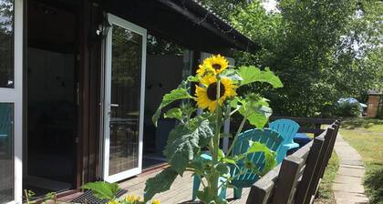 Caban Bach - The Little Cabin Cosy Cabin With Huge Sunny Deck