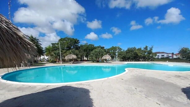 A swimming pool with a tiled deck, surrounded by palm trees and thatched-roof structures.