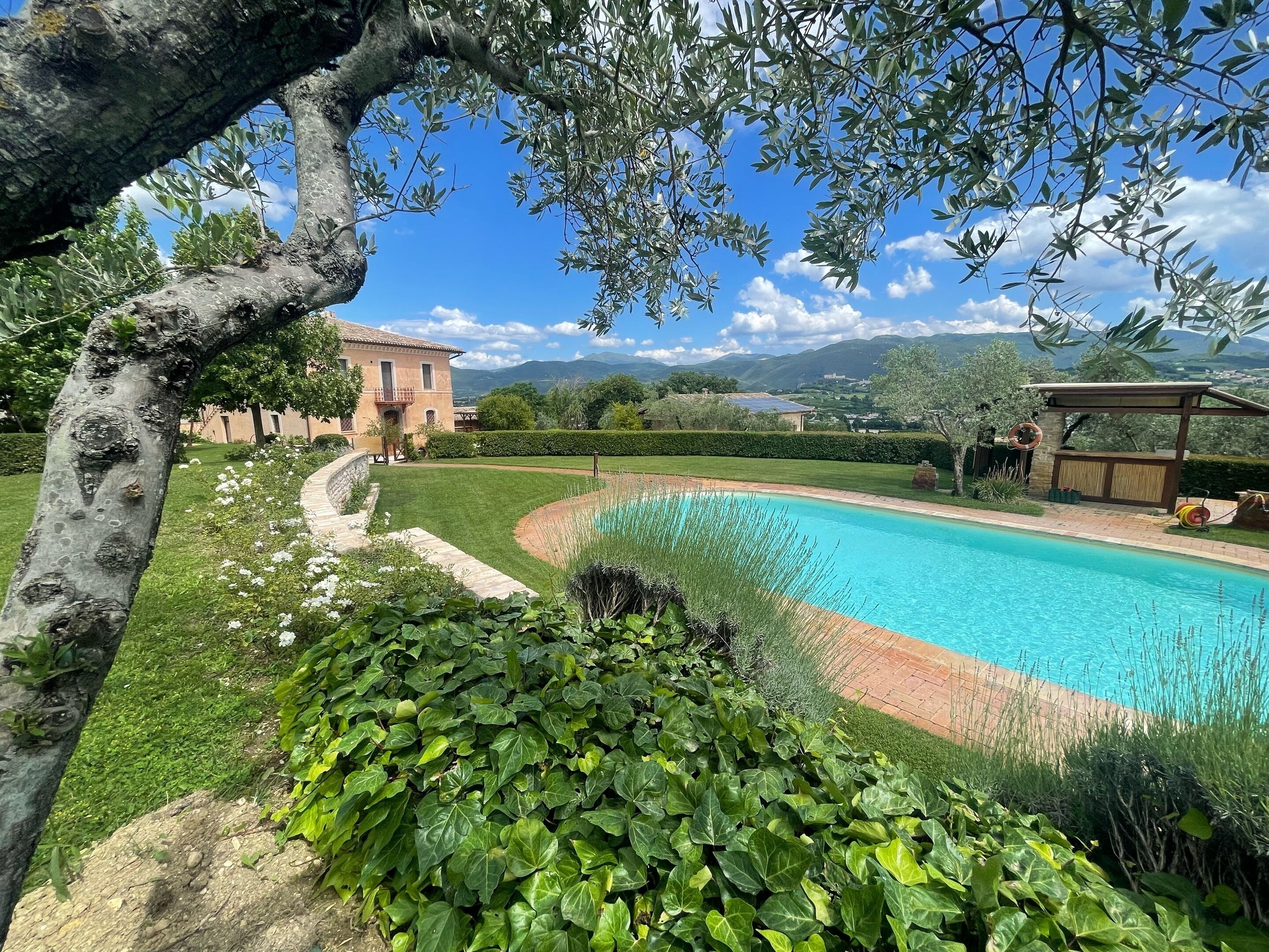 Villa, plusieurs chambres, piscine privée, vue sur le jardin | Piscine | Piscine extérieure