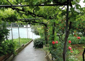 Apartment, 2 Schlafzimmer, Terrasse, Gartenblick | Unterkunftsgelände