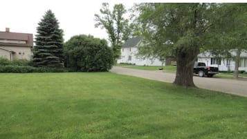 A residential street with a well-maintained lawn, a large coniferous tree, and a white house with a dark roof.