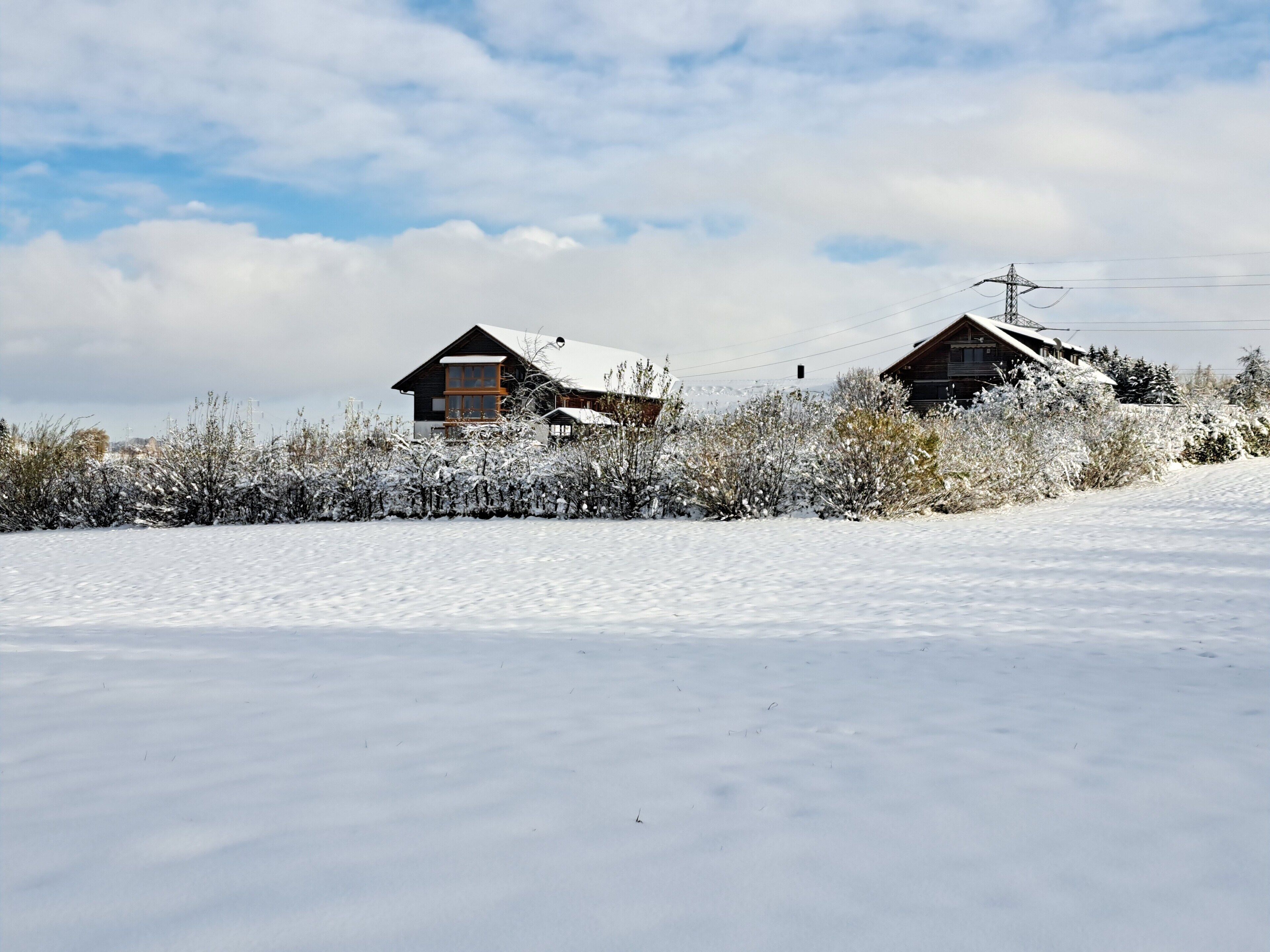 A snowy landscape with two wooden cabins surrounded by snow-covered bushes.