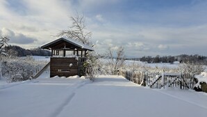 A wooden cabin with a balcony, surrounded by snow-covered trees and a clear sky. - Vacation apartment on the Haldershof ground floor (Wangen im Allgäu)