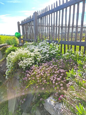 Property grounds - Vacation apartment on the Haldershof ground floor (Wangen im Allgäu)