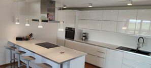Oven, stovetop, dishwasher, highchair - Vacation apartment on the Haldershof ground floor (Wangen im Allgäu)