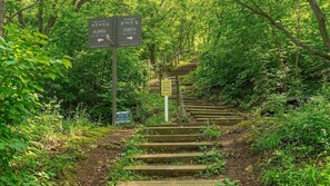 A set of wooden stairs leading up a hill, surrounded by lush greenery. - Paju Gamaksan Sanchon Village Pension (Paju)