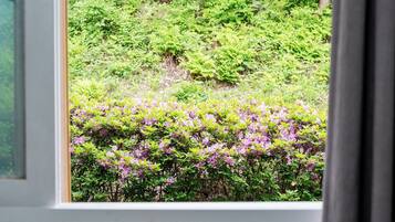 Vista desde una ventana a un jardín con follaje tupido y flores púrpuras.