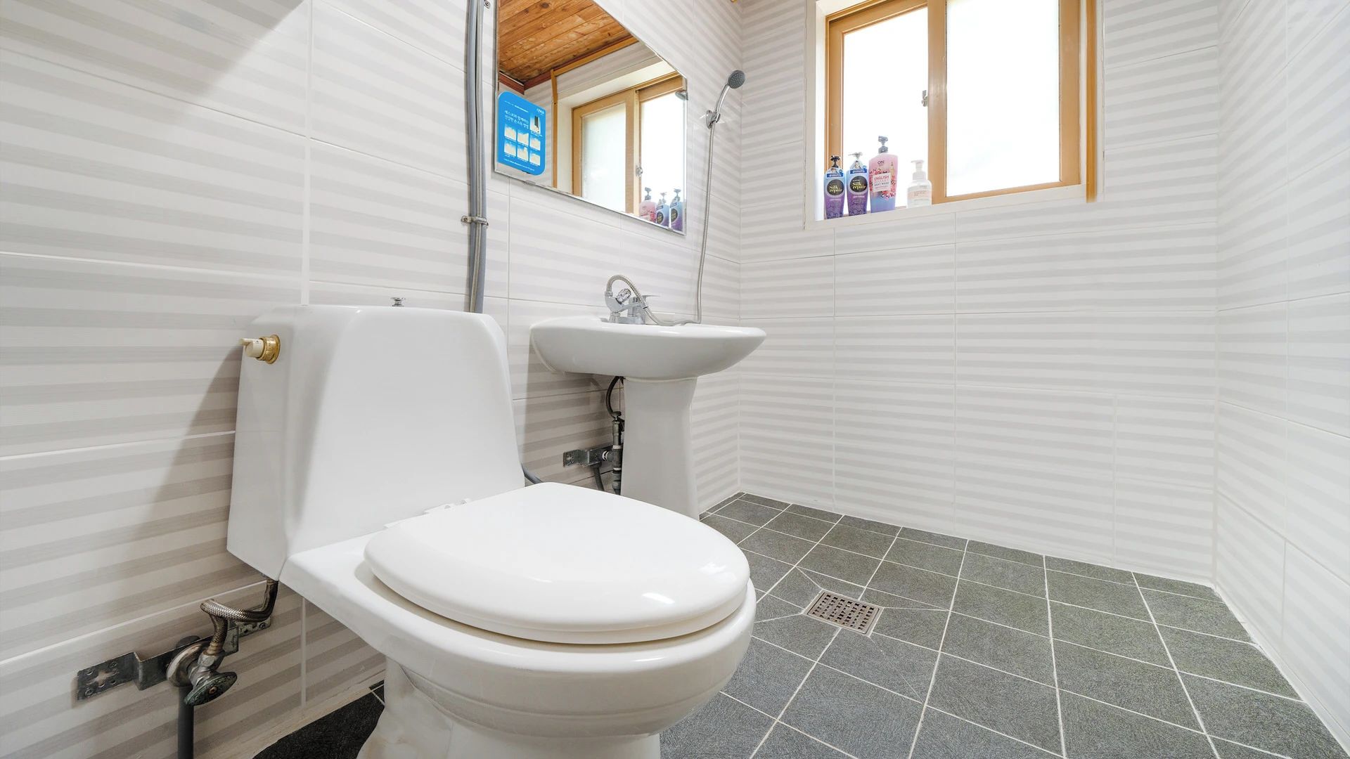 Ein Badezimmer mit Toilette, Waschbecken und Dusche.