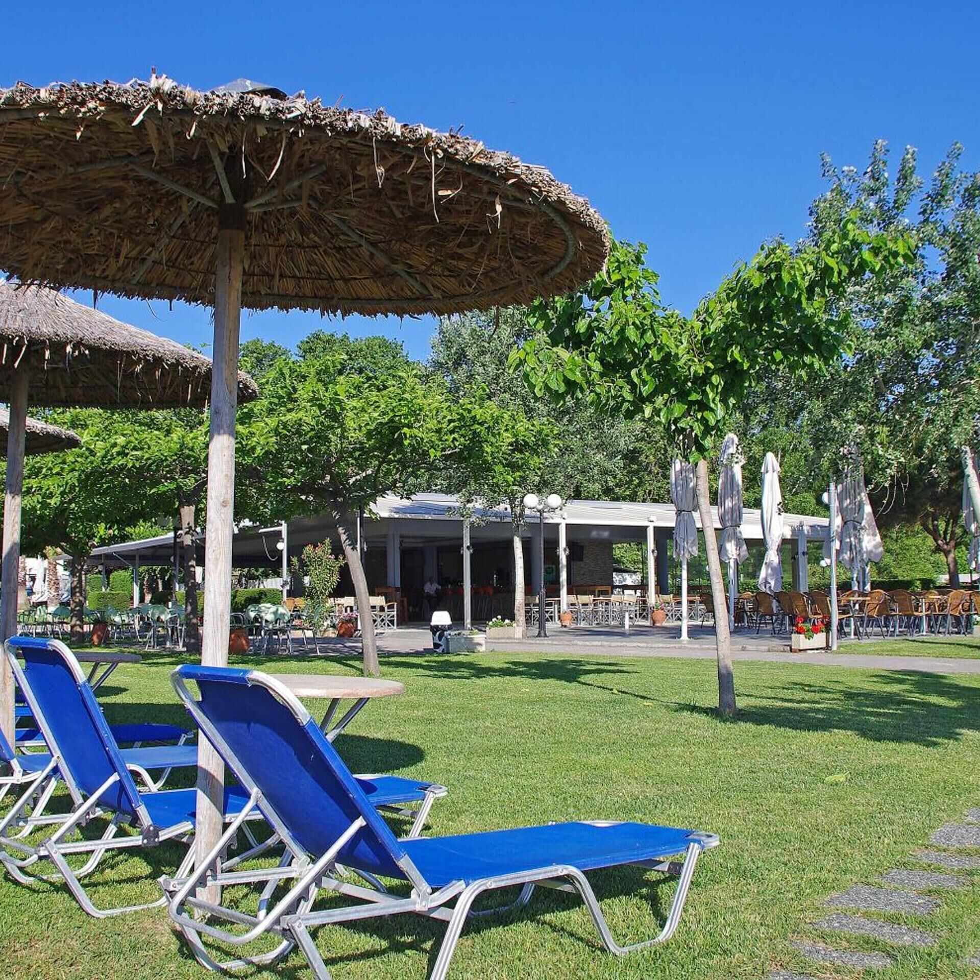 A poolside area with lounge chairs and thatched umbrellas, a covered seating area, and trees in the background.