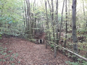 Property grounds - Quaint 4-sided farm in the middle of Germany in the southern Harz, Kyffhäuser & Eichsfeld regions (Hohenstein)