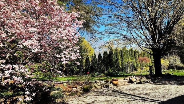 Un jardin avec des arbres en fleurs et un sentier en pierre.