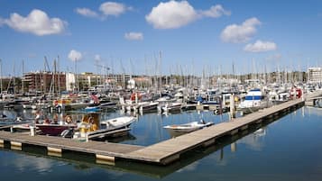 Marina