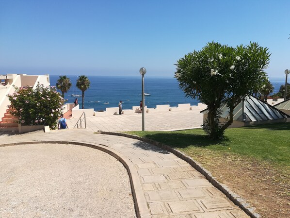 Un camino pavimentado que lleva a una terraza con vistas al mar, palmeras y un edificio con techo inclinado.