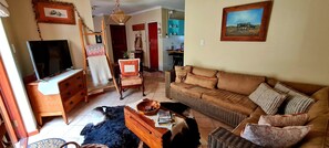 Téléviseur, Netflix, services de diffusion en continu