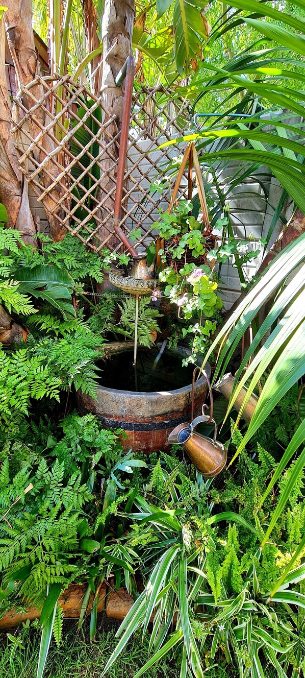 Terrain de l’hébergement 