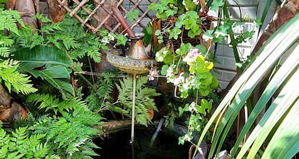 Quality accommodation to business and leisure guests to Brackenfell, Cape Town.