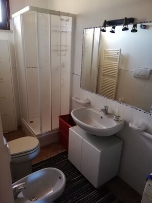 Tina con regadera, secadora de cabello, bidet, toallas 