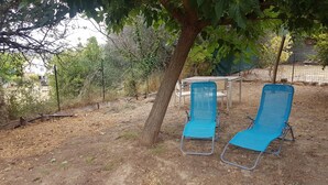 Un espace jardin avec deux chaises bleues placées sous un arbre, entouré d’une clôture et de différentes plantes.
