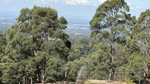A natural landscape with a pond surrounded by trees and a distant view of a city. - Idyllic Family Getaway on a farm  - Blue Mountain (Bowen Mountain)