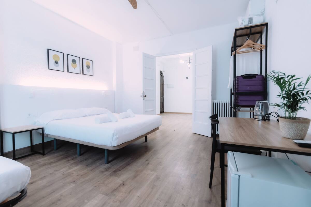 A modern room with a bed, a table, a chair, a hanging coat rack, and a potted plant.