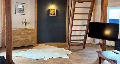 200 year old windmill as a vacation home near Greetsiel. Pet friendly!
