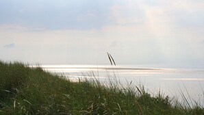 A beach with grass in the foreground and a clear view of the sea.