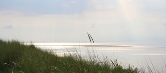 200 year old windmill as a vacation home near Greetsiel. Pet friendly!