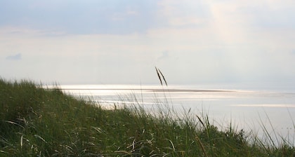 200 year old windmill as a vacation home near Greetsiel. Pet friendly!