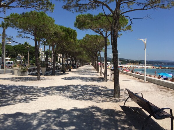 Une promenade en bord de mer, bordée d’arbres et de bancs, avec une plage en arrière-plan.