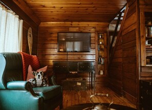 Una Smart TV, una chimenea, un reproductor de DVD