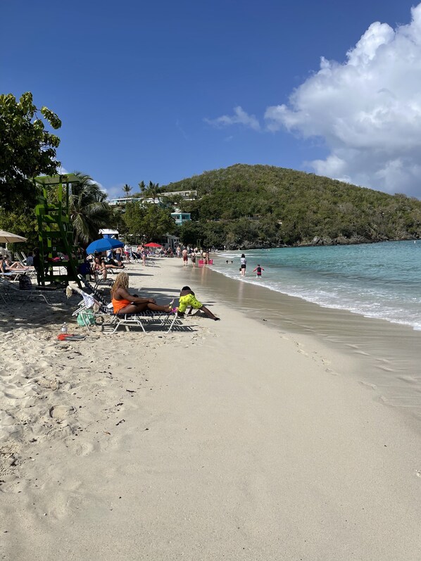 بالقرب من الشاطئ