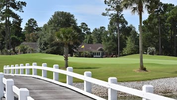 Studio | Property grounds