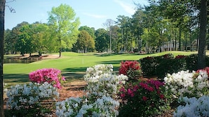A golf course with manicured lawns, trees, and flowering bushes.