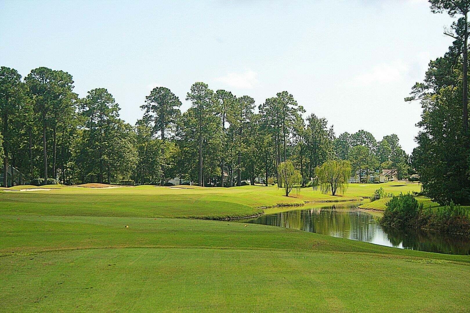 Estudio | Golf
