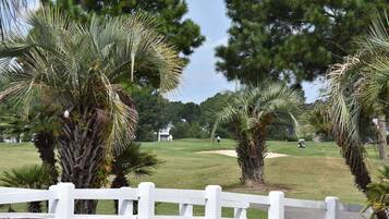 A golf course with a white fence, palm trees, and a clubhouse in the distance.