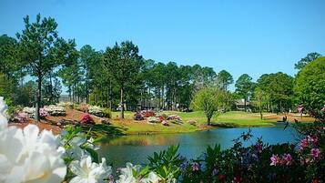 Studio | Property grounds