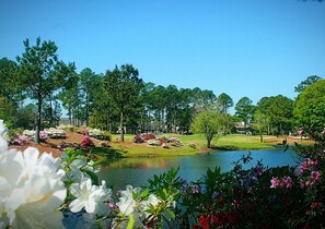 Studio | Kawasan hartanah