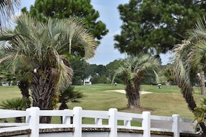 Estudio | Jardines del alojamiento