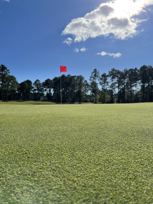 A golf course with a red flag on a flagstick, surrounded by a forest of tall trees.
