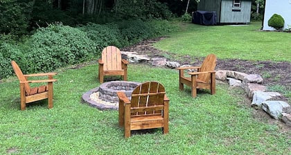 Newly remodeled cabin in DuPont State Forest between Brevard & Hendersonville