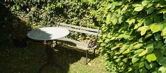 The small Villa OLEFant in the historic center of Schleiden Olef