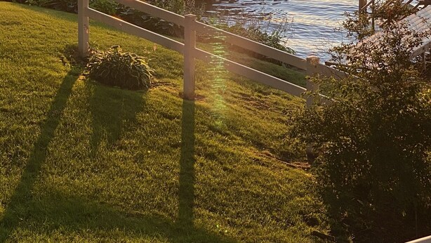 A dock with a covered boat, surrounded by greenery and a calm body of water. - Beautiful lakefront view on Lauderdale Lakes only steps away from golf course.  (Elkhorn)