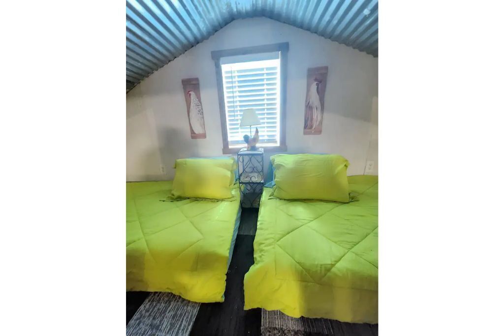 Camels, Green Cabin and more at Kaleidoscope Ranch