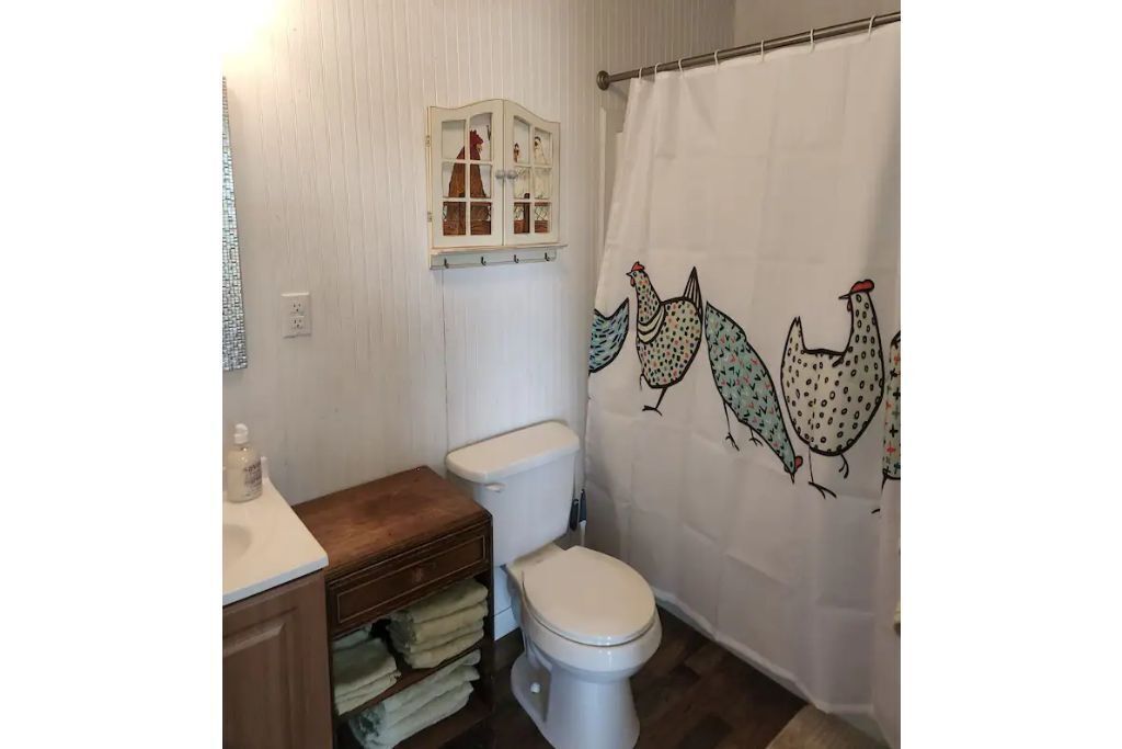 Camels, Green Cabin and more at Kaleidoscope Ranch