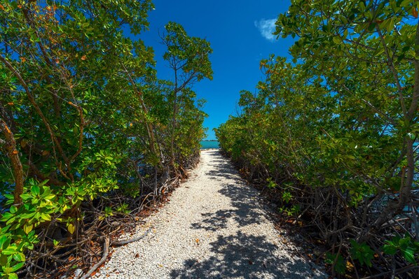 A narrow gravel path flanked by dense mangrove trees leading to a body of water. - Waterfront Anchor House with Boat Basin & Ramp (Little Torch Key)